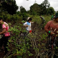 Los ‘Ni-nis’ son una bomba de tiempo
